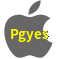 Aplicativo Pgyes para iOS