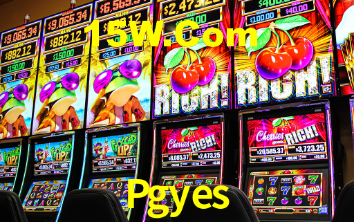 Daily Bonuses Pgyes